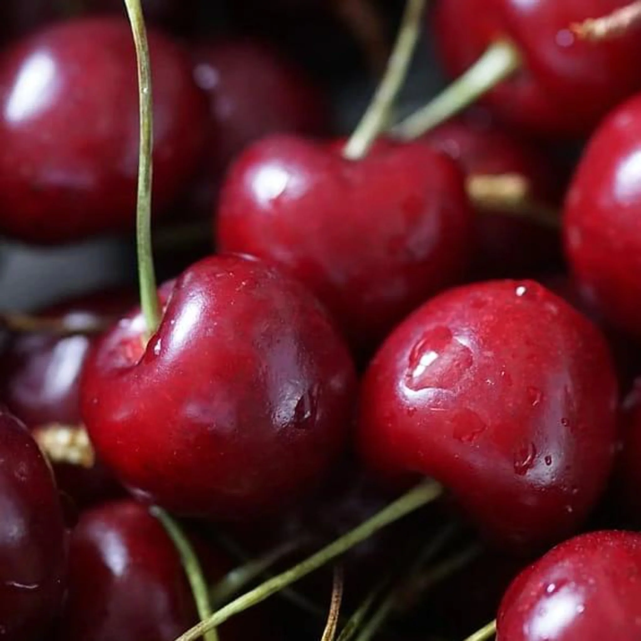 Inspired by Lost Cherry - No.14 - Image 4